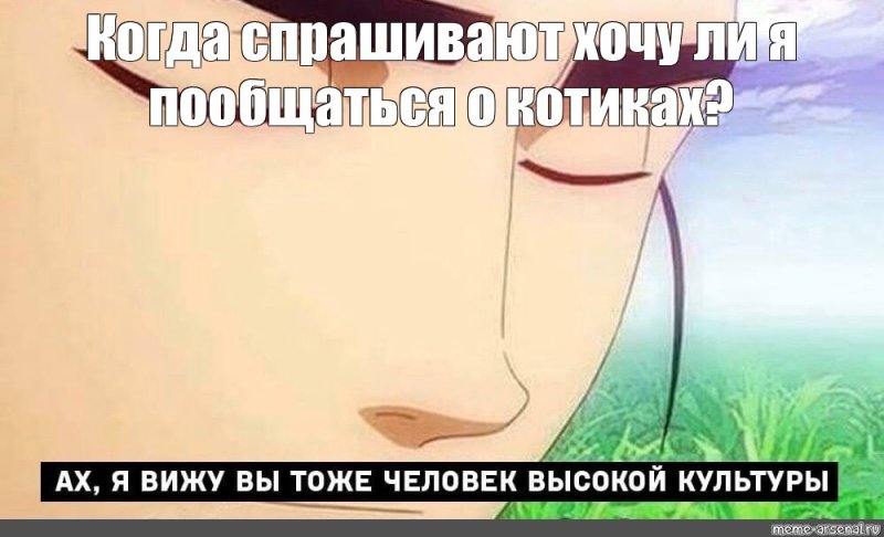 Ах я вижу вы тоже человек высокой культуры