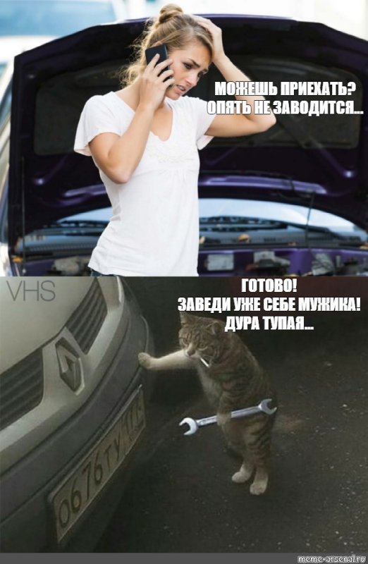Кот ремонтирует авто