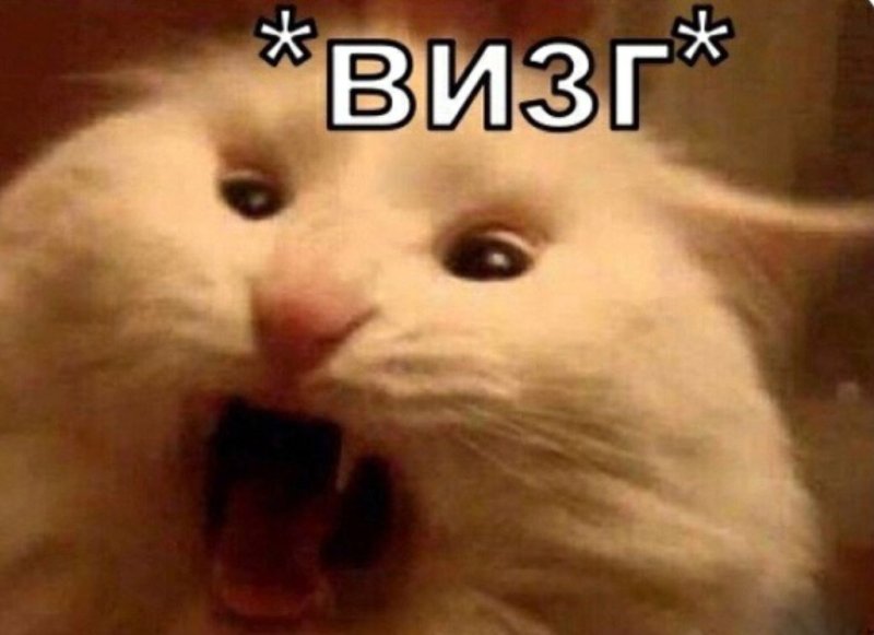 Кот Мем