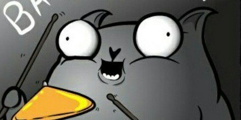 Бадум ТСС кот