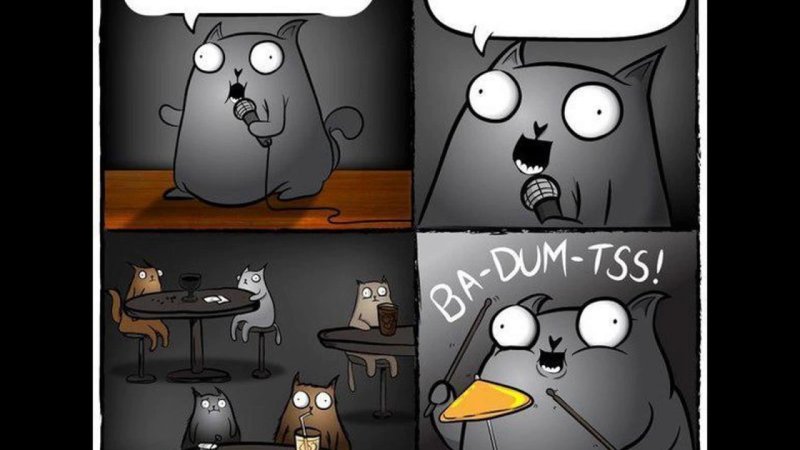 Стендап кот Мем