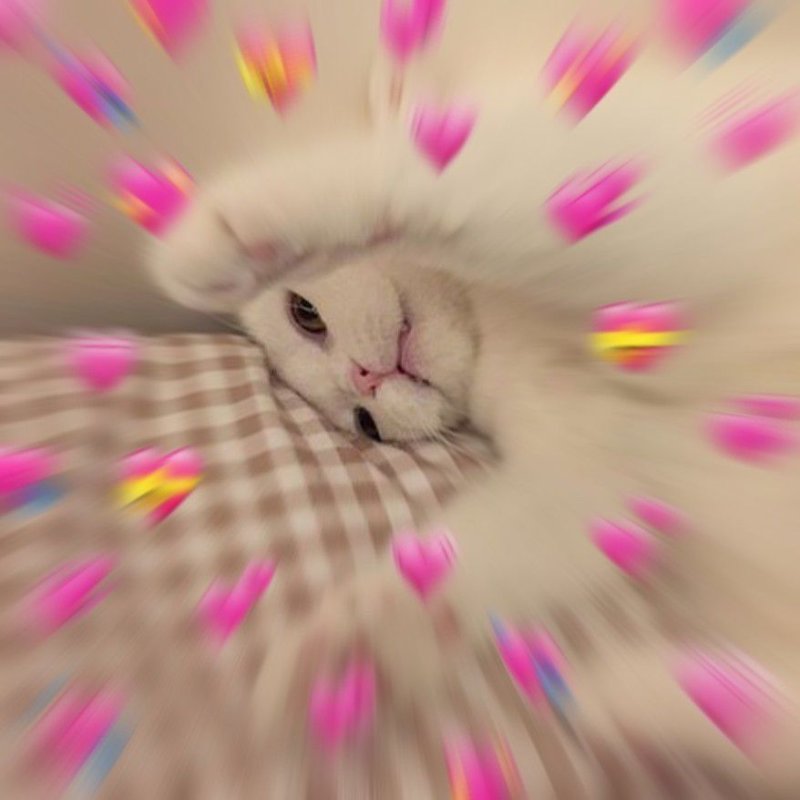 Милые котики с сердечками