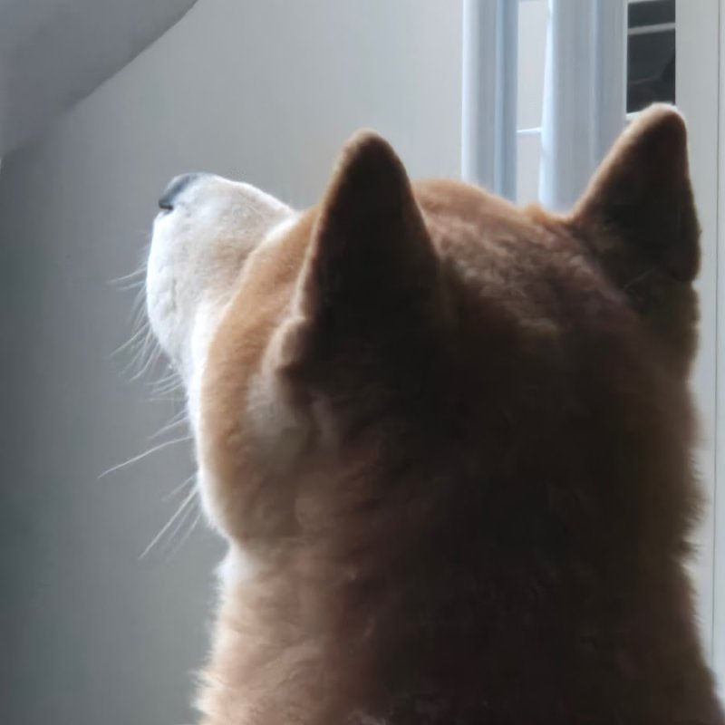 Синдзи Икари с куржеой