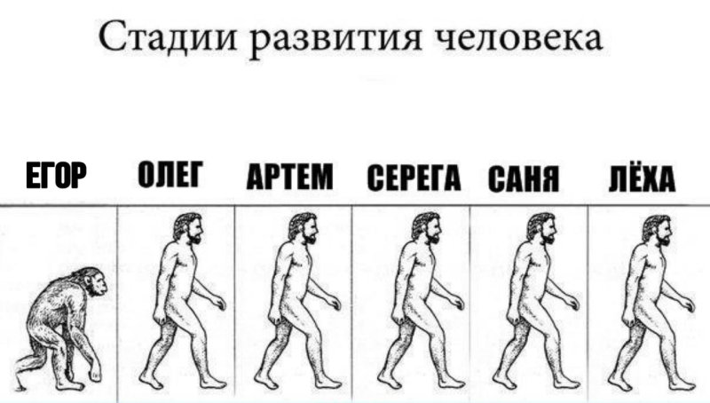 Стадии развития человека