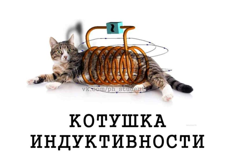 Радиолюбитель прикол