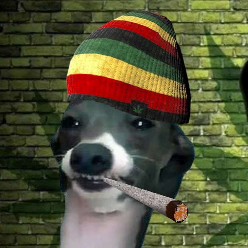 Зеленая собака