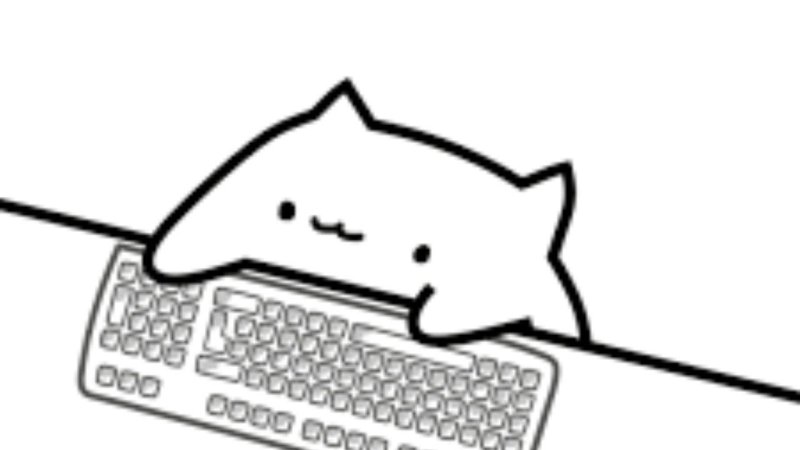 Котик на клавиатуре