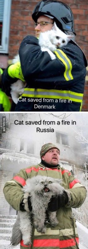 Спасение кошки в пожаре Россия