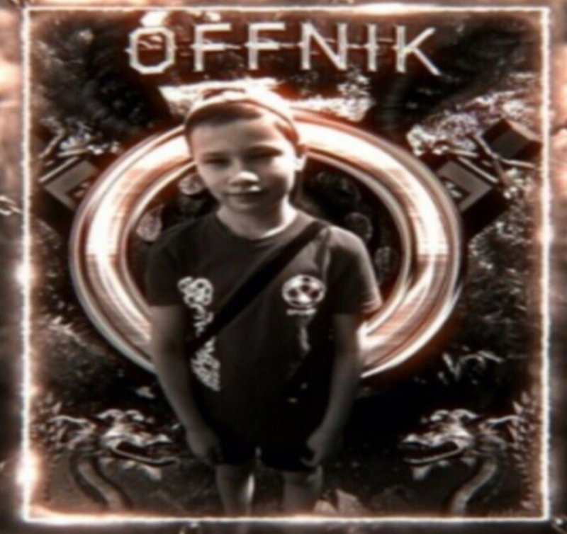 Он подошел и ударил твою маму твои действия ник Вуйчич Мем