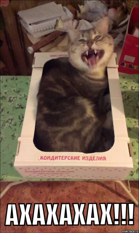 Мемы что в коробке