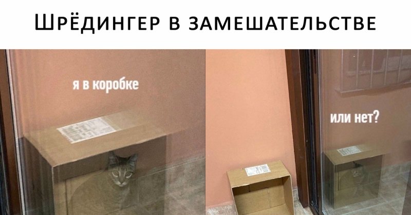 Кот Шрёдингера