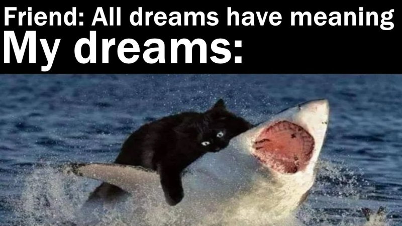 Коротко о моих снах прикол