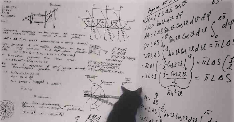 Коты физики