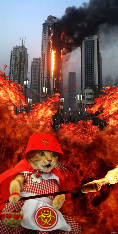 Кошка пожарник