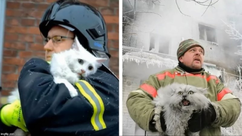 Спас кота из пожара