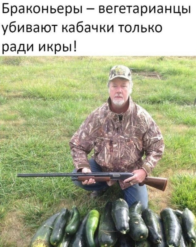 Кабачок юмор