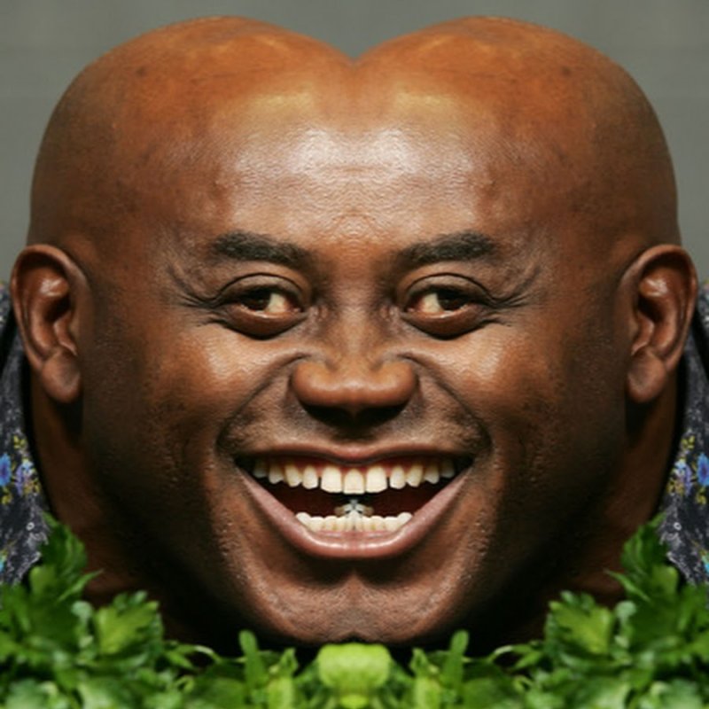 Эйнсли Хэрриот