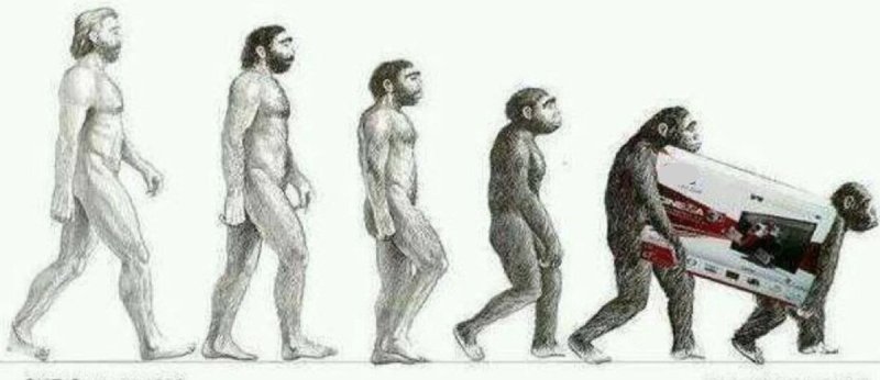 Теория эволюции Дарвина