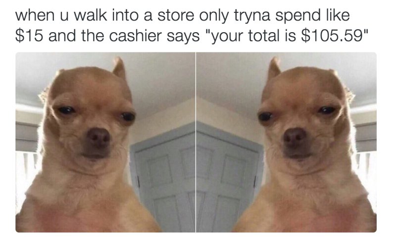 Собака щурится