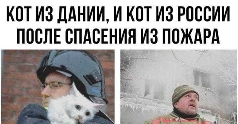 Кота спасли из пожара Мем