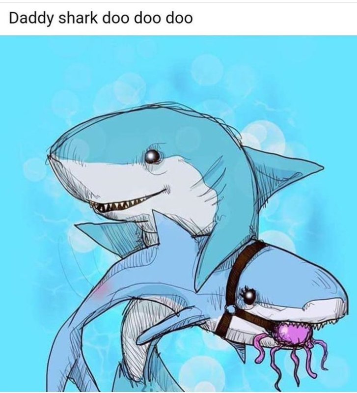 Милые акулы