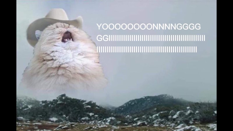 Орущий кот Мем