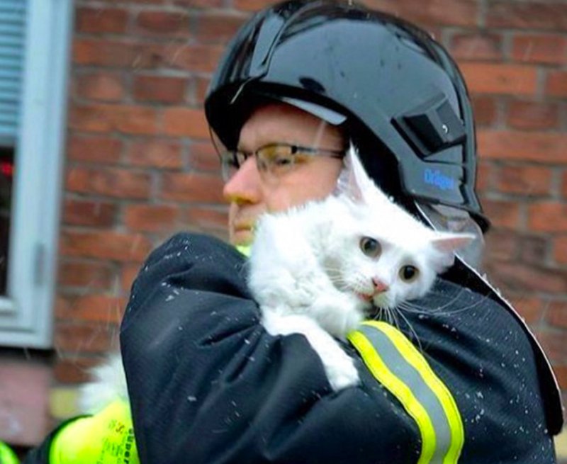 Пожарный спас котенка