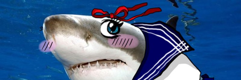 Пон Мем с акулой