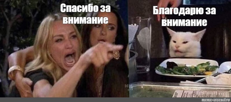 Мем женщина и кот за столом