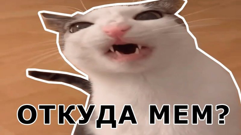 Кот хрумкает Мем