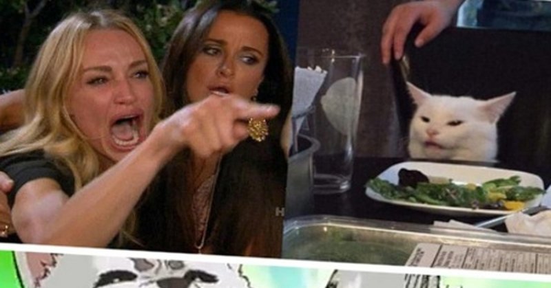 Мем с котом и двумя женщинами