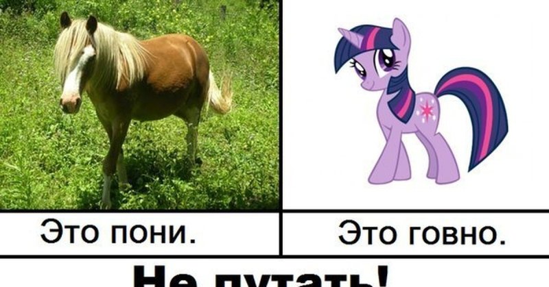 Пони демотиваторы