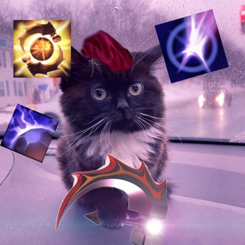 Кот СФ дота 2