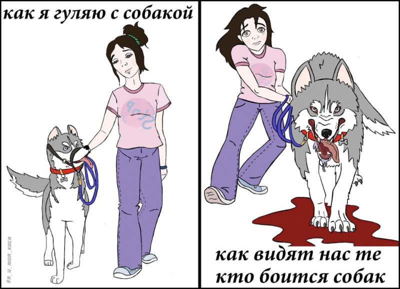 Приколы про собачников