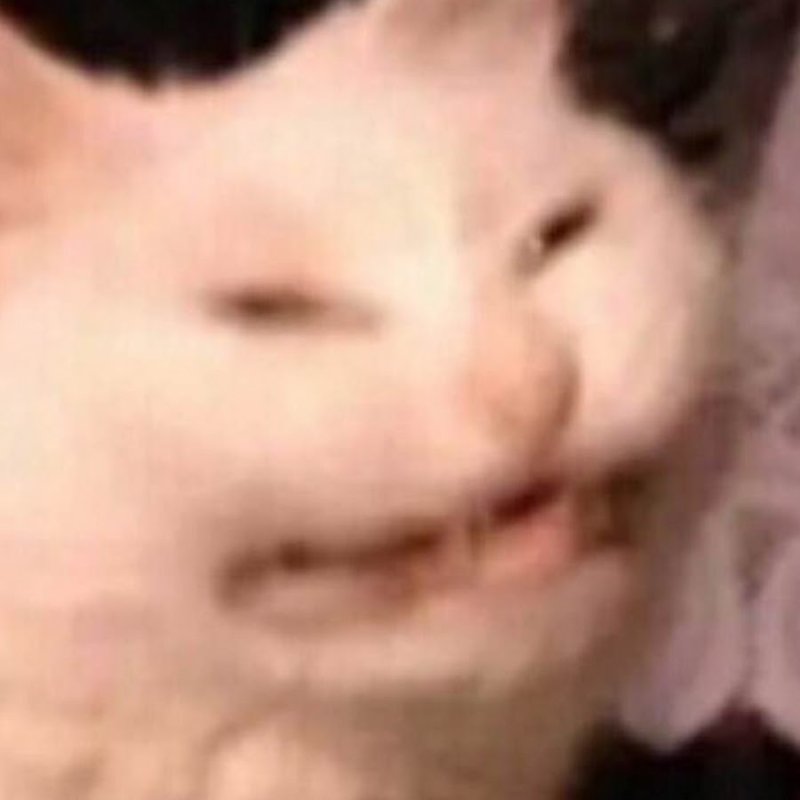 Кот улыбается Мем