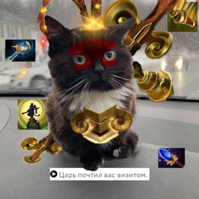 Коты с персонажами из доты