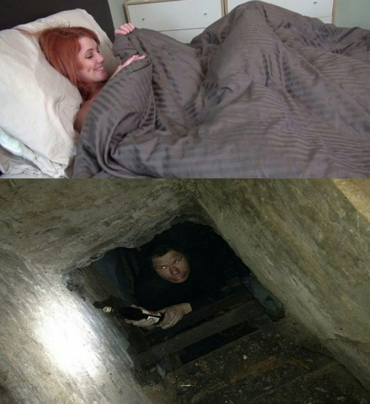 Динозавры под одеялом