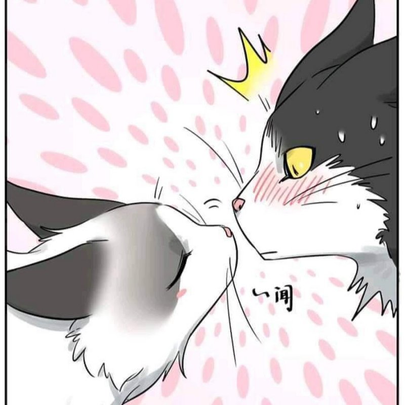 Комикс про кота