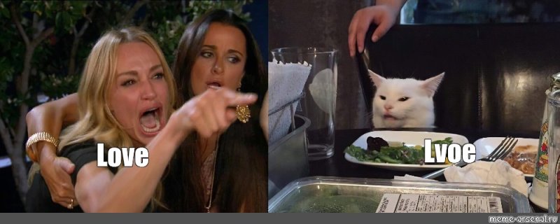 Мемы с двумя девушками и котом