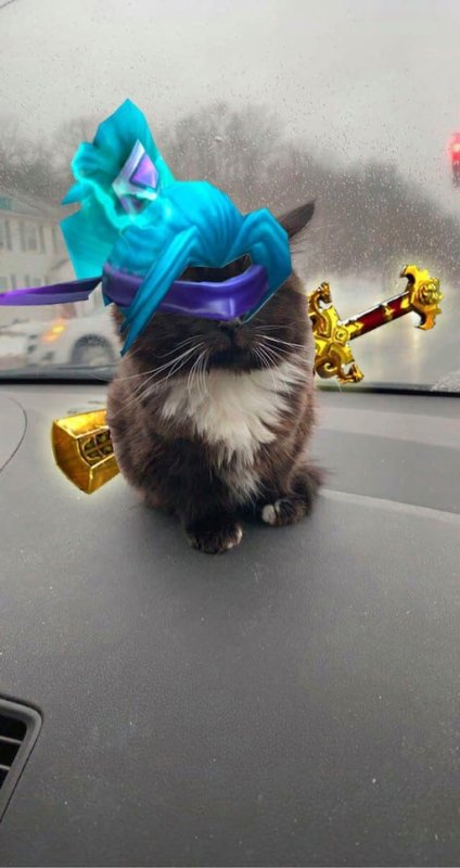 Zxc коты из доты