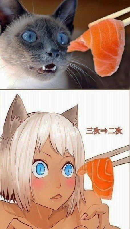 Аниме кошки люди