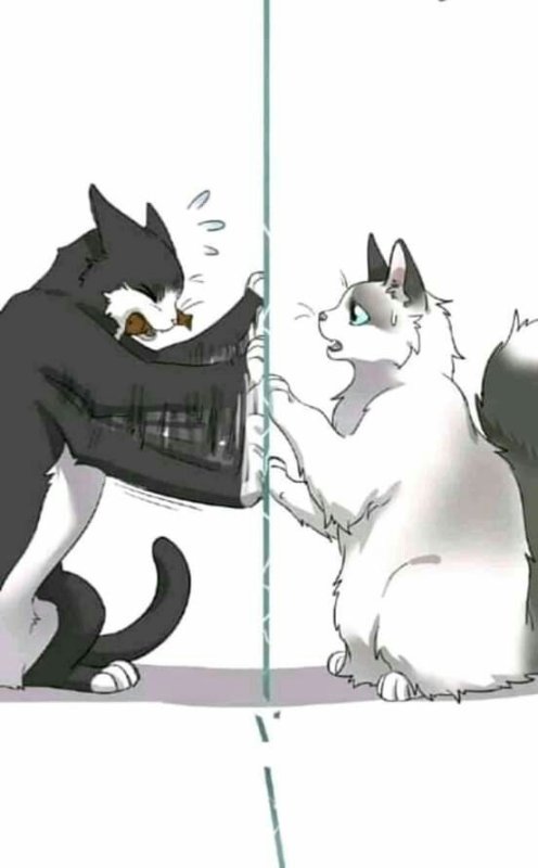 Комикс про кота