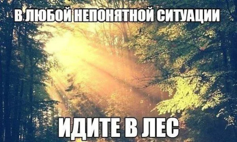 Идите в лес