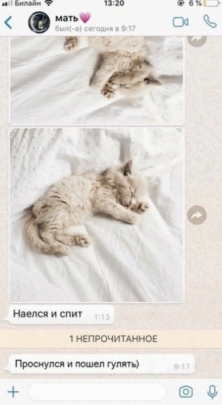 Наелся и спит