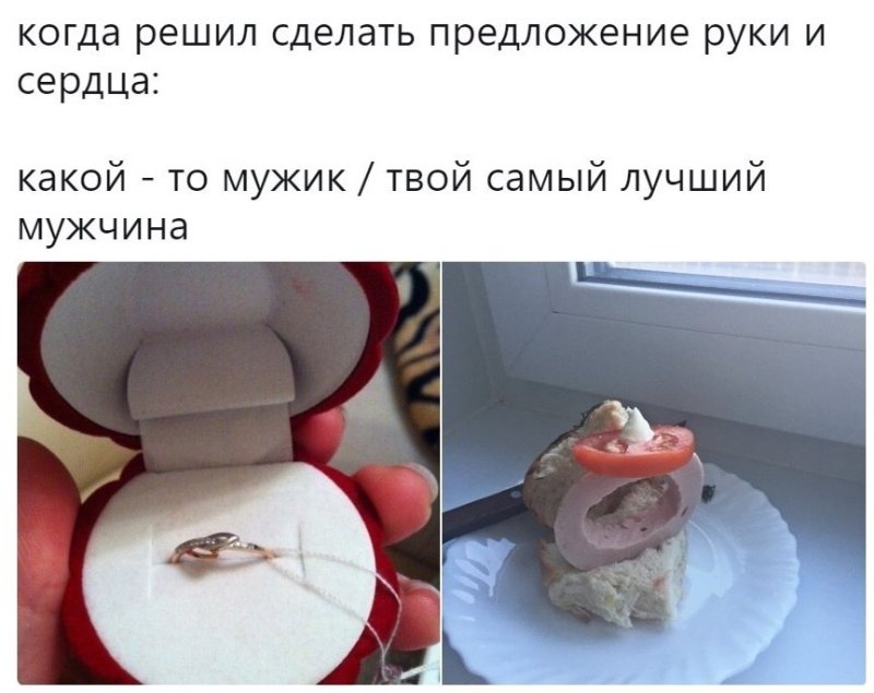 Предложение руки и сердца юмор