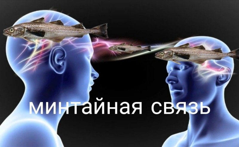 Ментальная связь мемы
