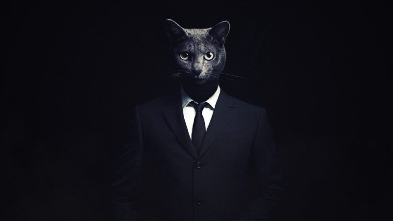 Кот в костюме