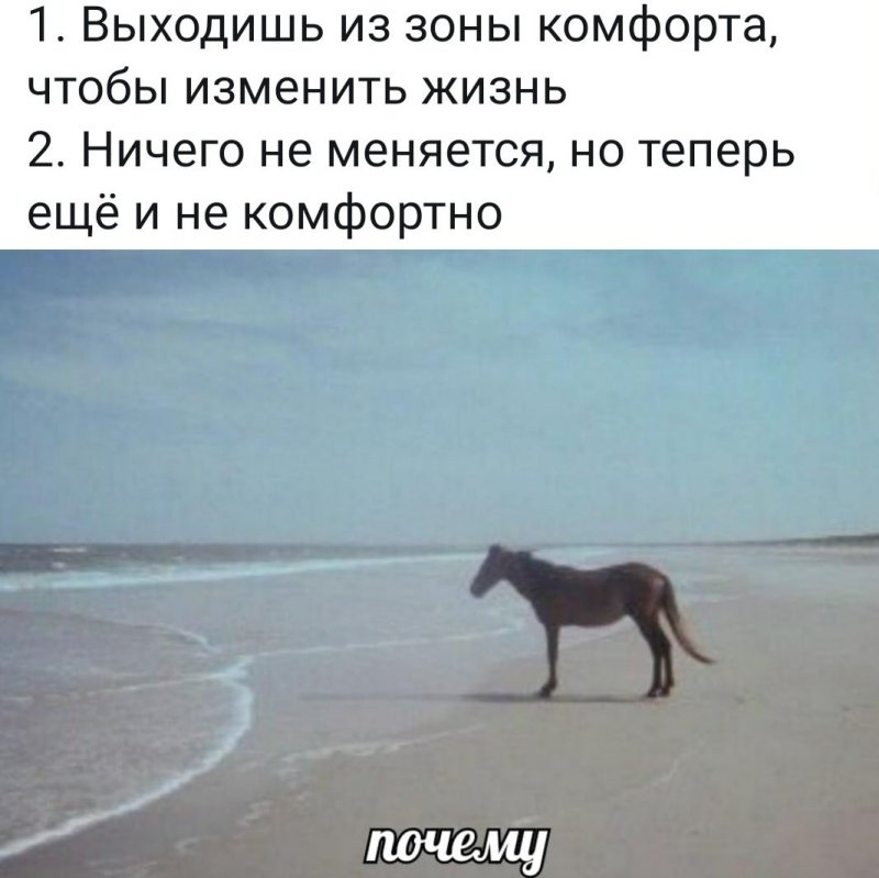 Лошади и море