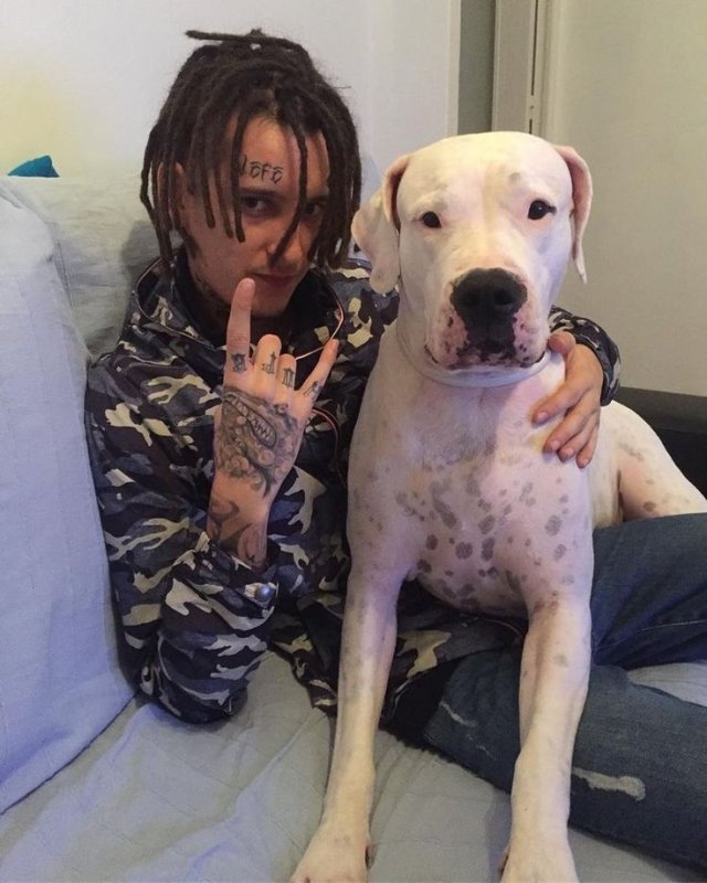 Кизару собака