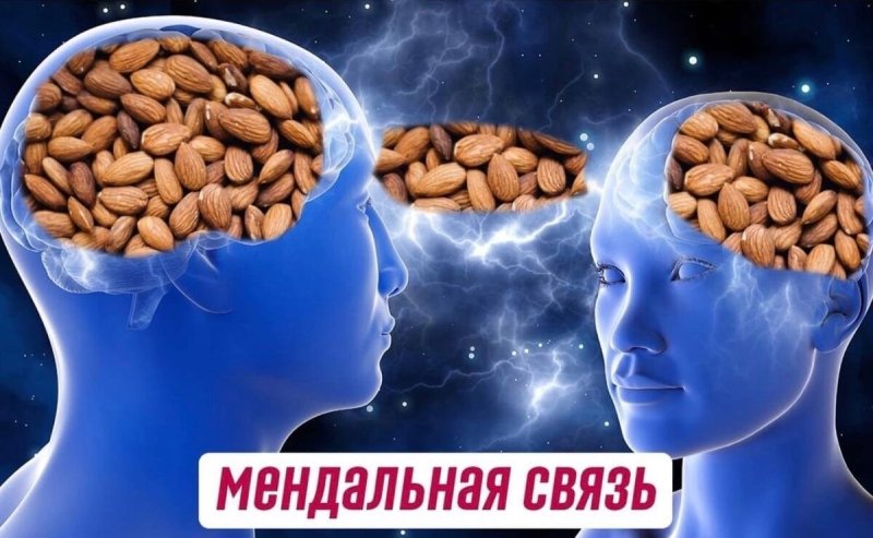 Ментальная связь Мем Миндальная